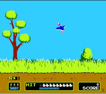 Duck Hunt